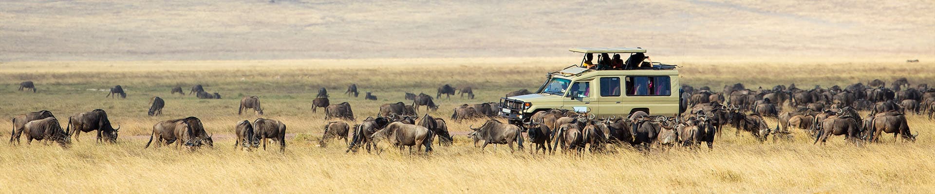 Trips Namibia