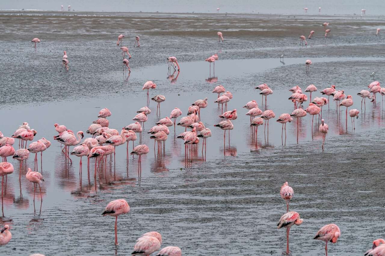 Swakopmund / Walvis Bay